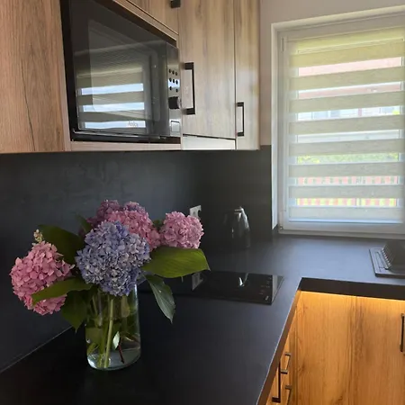 Dreampark Casa de Férias *