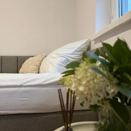 Casa de Férias Dreampark Zator