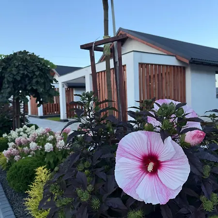 Casa de Férias Dreampark *