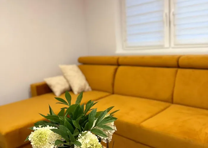 Dreampark * זאטור