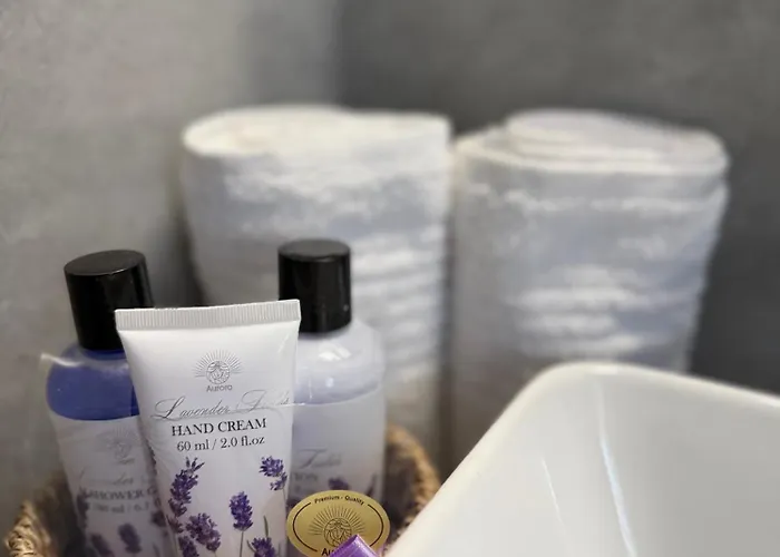 Dreampark זאטור