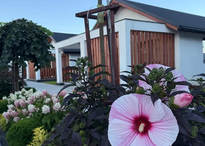 Hébergement de vacances Dreampark *